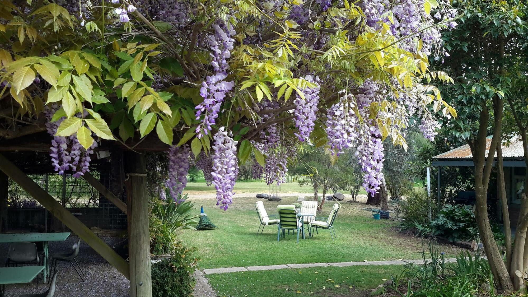 Springhurst Butter Factory Luaran gambar